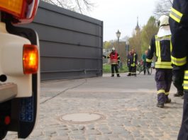 Foto: Sören Müller