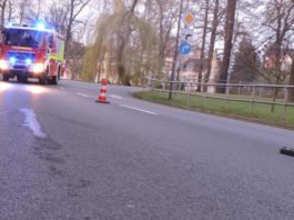 Foto: Sören Müller