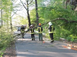 Foto: Sören Müller