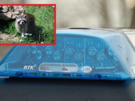 Foto: Archivbild/pixabay