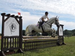 Fotos: Sören Müller