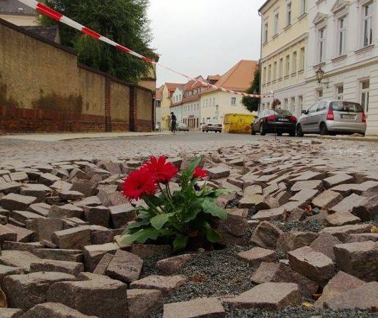 Foto: Sören Müller