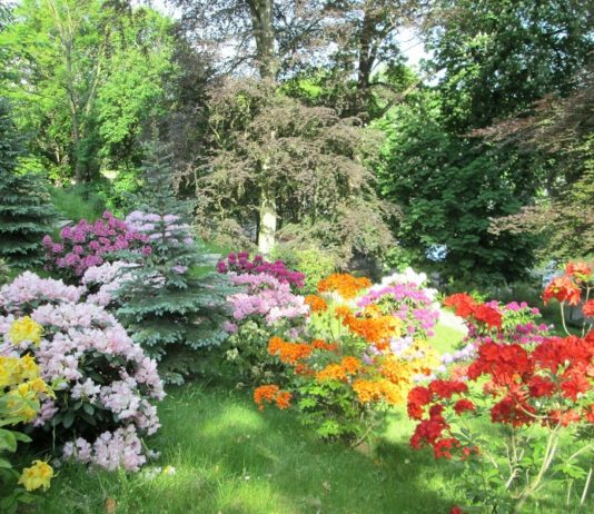Die schönen Facetten festgehalten wie hier an der Gattersburg Foto: Rolf Hofmann