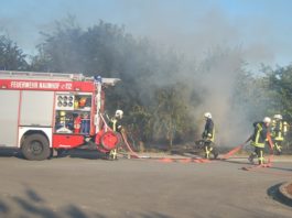 Foto: Sören Müller