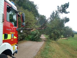 Foto: Sören Müller