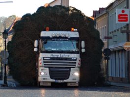 Foto: Sören Müller