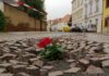 Foto: Sören Müller
