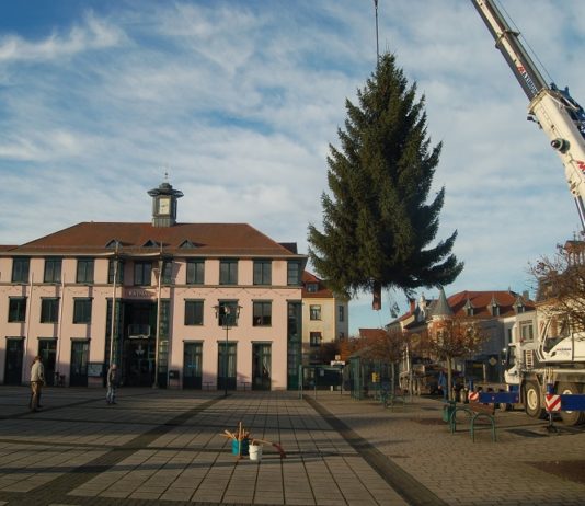 Foto: Sören Müller