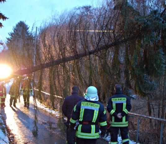 Foto: Sören Müller