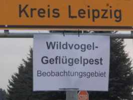 Foto: Sören Müller
