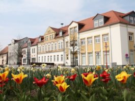 Foto: Stadt Branids
