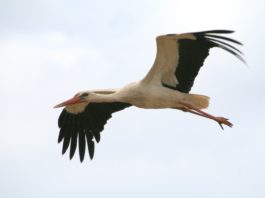 Foto: S. Möhring Landratsamt Landkreis Leipzig