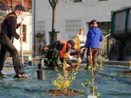 Foto: Sören Müller