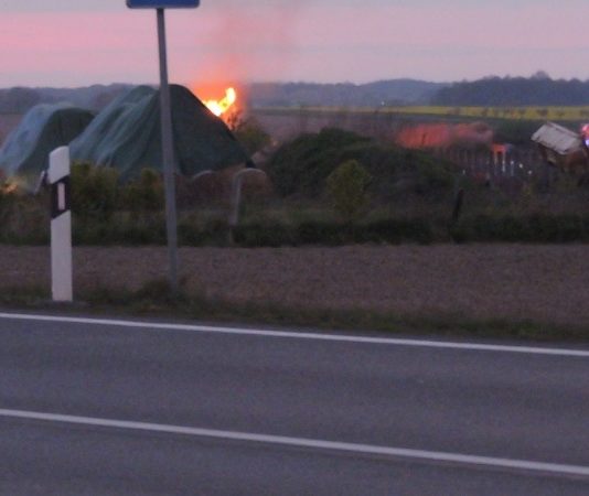 Foto: Sören Müller