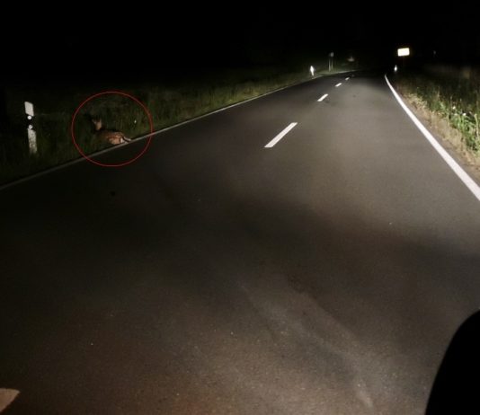 Foto: Sören Müller