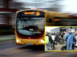 Foto: pixabay/Projektgruppe „ÖPNV/SPNV für alle“