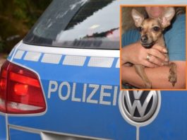 Foto: pixabay/PD Leipzig