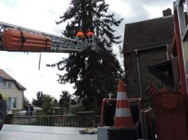 Foto: Sören Müller