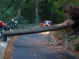 Foto: Sören Müller