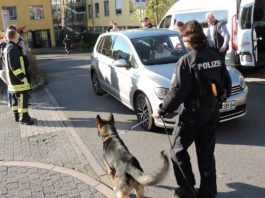 Foto: Sören Müller