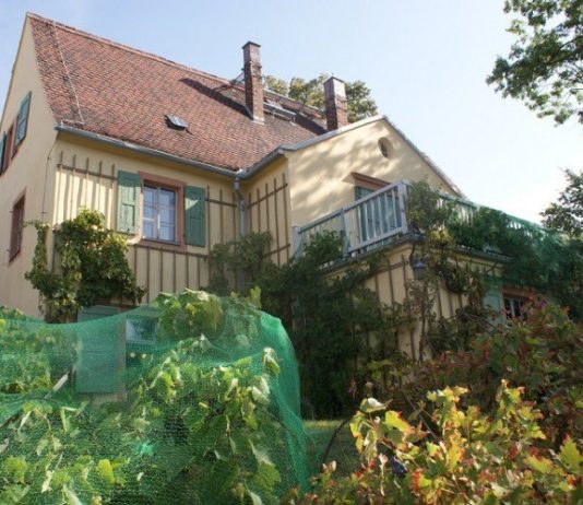 Foto: Stadt Grimma