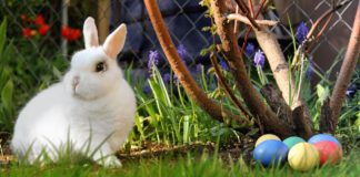 Veranstaltungen zum Osterfest in Brandis