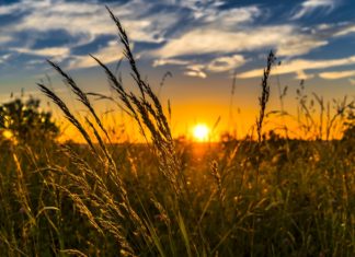 Am Wochenende wird es wieder sommerlich