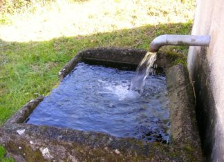 Bewusster Umgang mit Trinkwasser in der Hitzewelle empfohlen