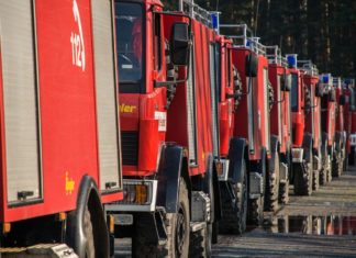 Waldbrand-Übung im Colditzer Forst: Feuerwehr trainiert für den Ernstfall