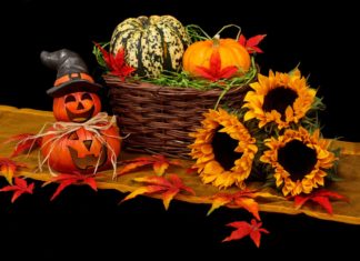 Herbstzauberfest lädt Familien nach Trebsen ein
