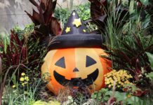 Grimma im Gruselfieber: Halloween-Highlights für Groß und Klein