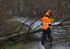 Sturmböen im Landkreis Leipzig: Feuerwehren müssen mehrfach ausrücken Archivbild/Baum auf Straße