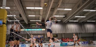 DERBY-VORBERICHT der ESA Grimma Volleys : Erfurt