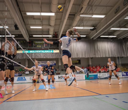 DERBY-VORBERICHT der ESA Grimma Volleys : Erfurt