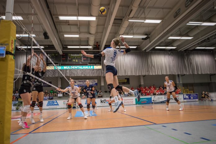 DERBY-VORBERICHT der ESA Grimma Volleys : Erfurt