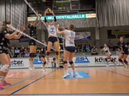 ESA Grimma Volleys : Stralsunder Wildcats 3:0