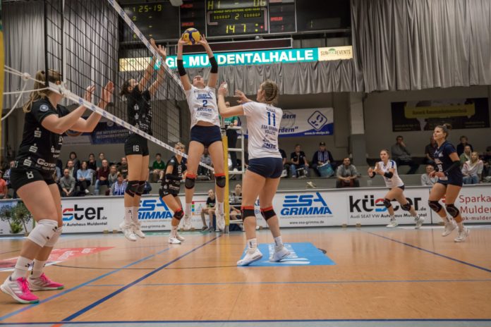 ESA Grimma Volleys : Stralsunder Wildcats 3:0