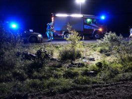 Wildunfall bei Grimma