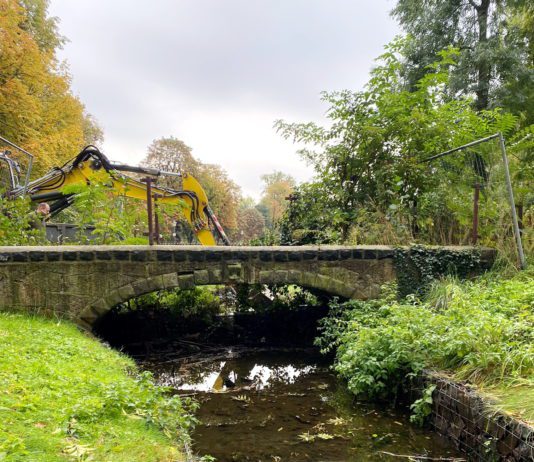 Schwanenteichpark: Brückensanierung bringt Instandsetzung des Oberen Teiches mit sich