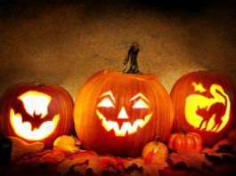 Halloween Kürbisse