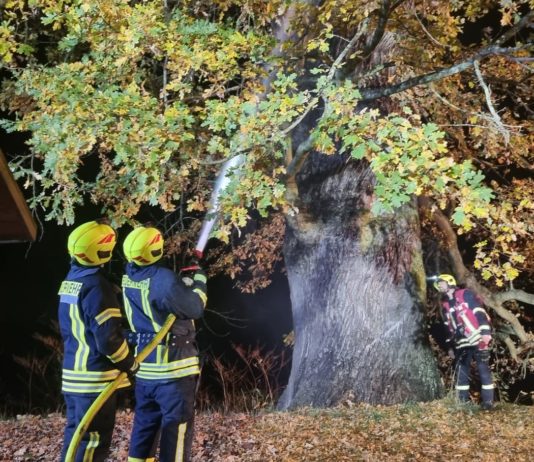 Die Colditzer Floriansjünger löschten den Brand