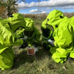 Ausbildung des CBRN Erkundungszug des Katastrophenschutzes Landkreis Leipzig