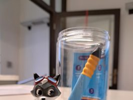 Foto: Zur Edurino-Familie gehört Robin, der Waschbär. Er ist für Zahlen und Mengen zuständig.© Stadt Grimma