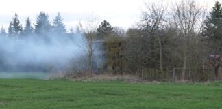 Im Colditzer Ortsteil Tanndorf kam es am Mittwochnachmittag zu einem Brand