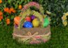 Grimmaer Frischemarkt – Frühlingserwachen und Osterglück