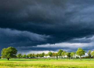 Wetter