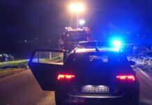 Tödlicher Verkehrsunfall auf B107 zwischen Grimma und Trebsen