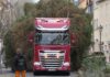 Ankunft des Weihnachtsbaumes in Grimma