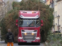 Ankunft des Weihnachtsbaumes in Grimma