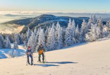 Ist der Aufstieg geschafft, wird man mit einem atemberaubenden Blick belohnt. Foto: DJD/Ferienregion Nationalpark Bayerischer Wald/woidlife photography